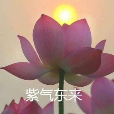 上古异兽录九游版下载
